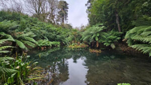 Supranee Keereemaspon